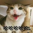 猎头职位头像