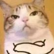 猎头职位头像