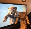 猎头职位头像